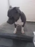 Tony
