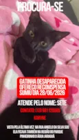 sete