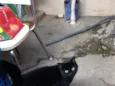 Pantera