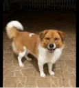 Beethoven