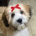 Luma