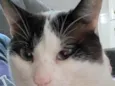 Cloe