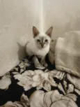 Marie