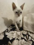 Marie