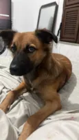Manu