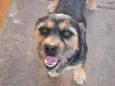 luki
