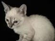 Marie