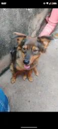 milu