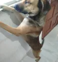 Tom