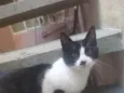 Bella e bello