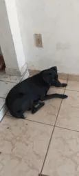 não sei 