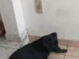 não sei 