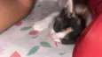 Zoe 