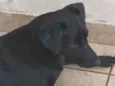 não sei 