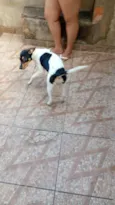 Lupita