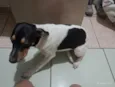 Lupita 