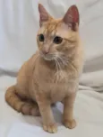 Fred