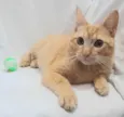 Fred