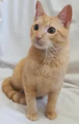 Fred