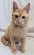 Fred