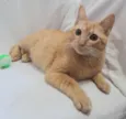 Fred