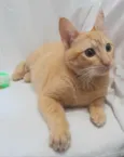 Fred