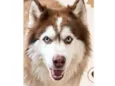 Kadu 