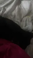 Miguel 