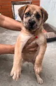 Zoe