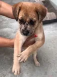 Zoe