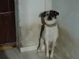 pit
