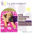 Lu patinadora
