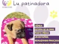 Lu patinadora