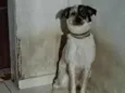 pit