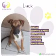 Luck