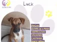 Luck