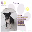 Nina