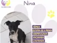 Nina