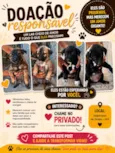 não tem nomes ainda