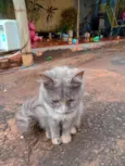 lhuna )