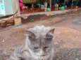 lhuna )