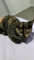 Jade