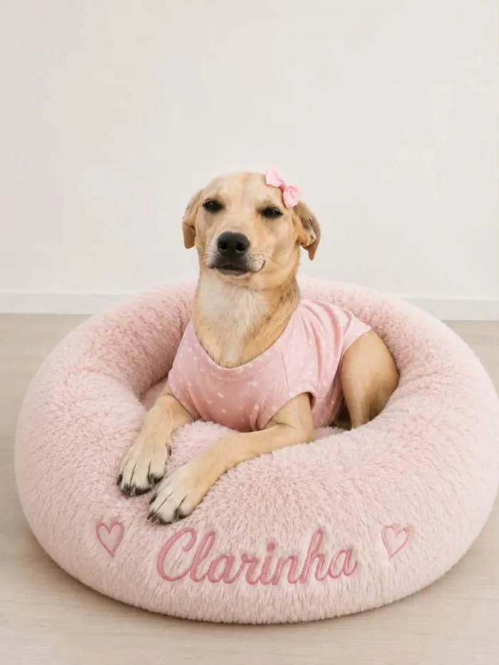 Cachorro raça SRD-ViraLata idade 7 a 11 meses nome Clara
