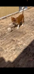 Não tem nome ainda