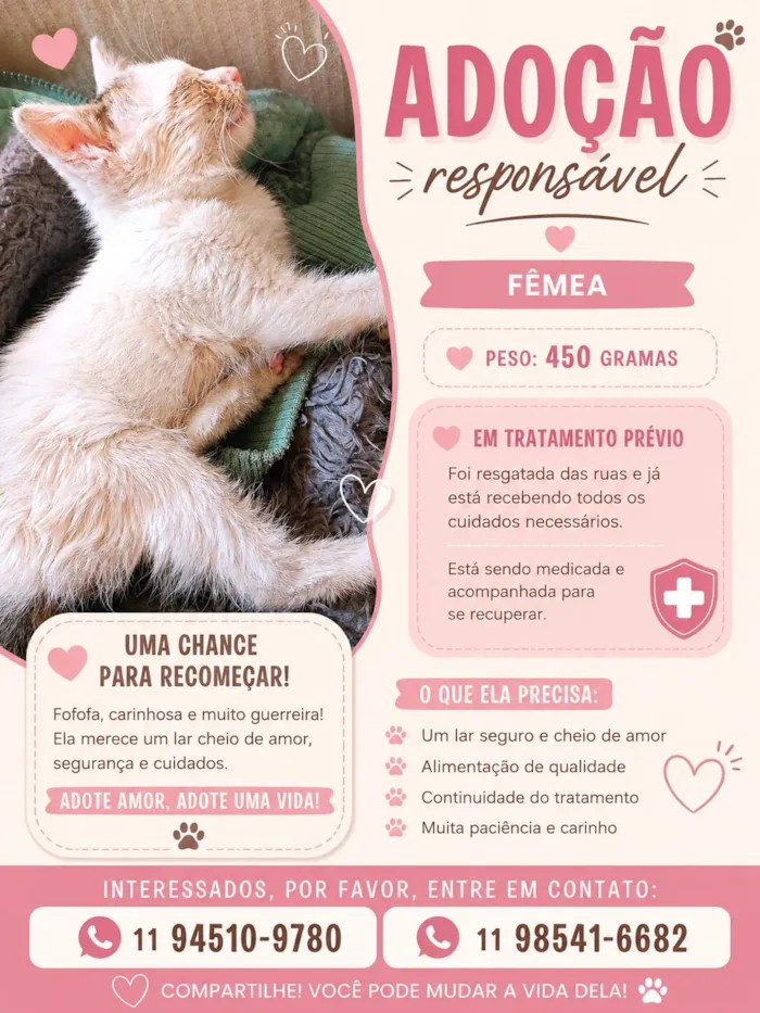 Gato raça SRD-ViraLata idade Abaixo de 2 meses nome Clara