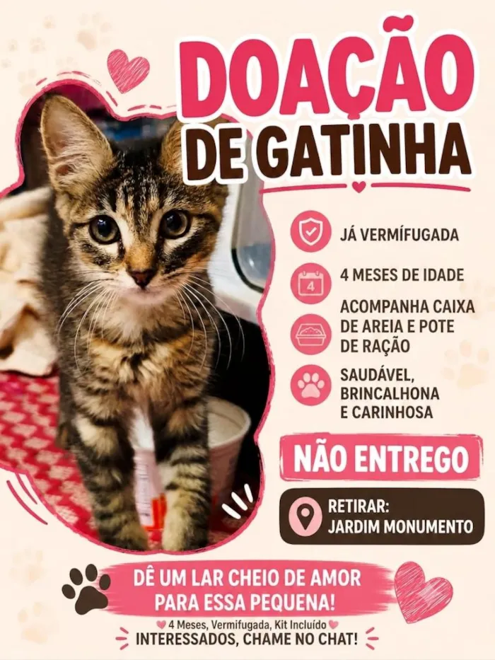 Gato raça SRD-ViraLata idade 2 a 6 meses nome Miya