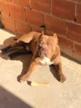 Ares