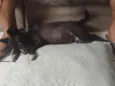 Desconhecido
