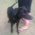 Spike