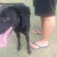 Spike